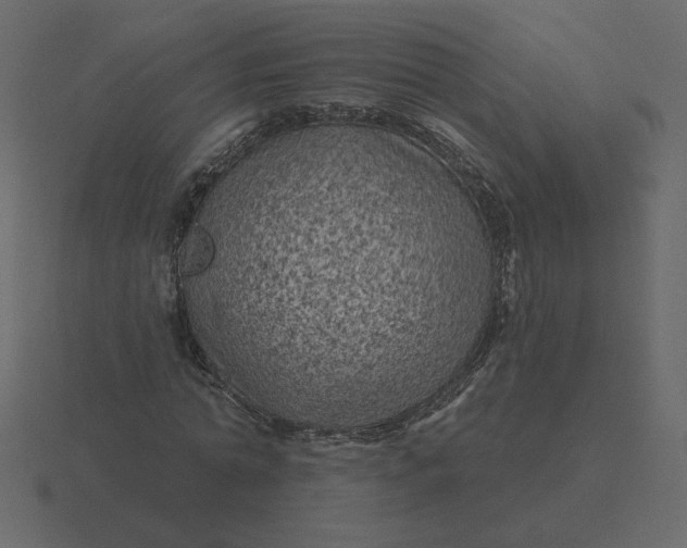 X0000116610774200912241732