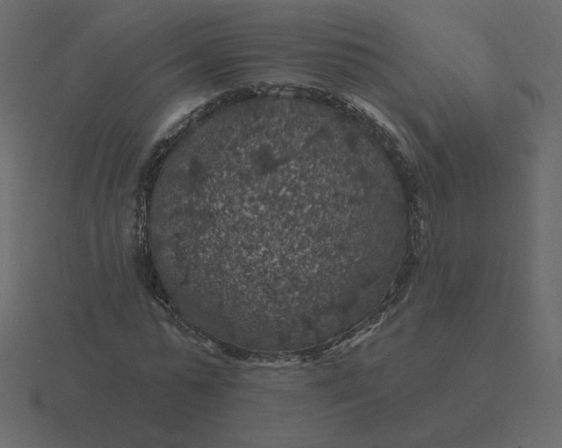 X0000116610775200912241732