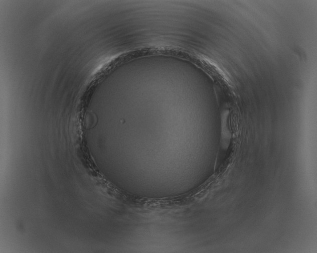 X0000116610776200912241732