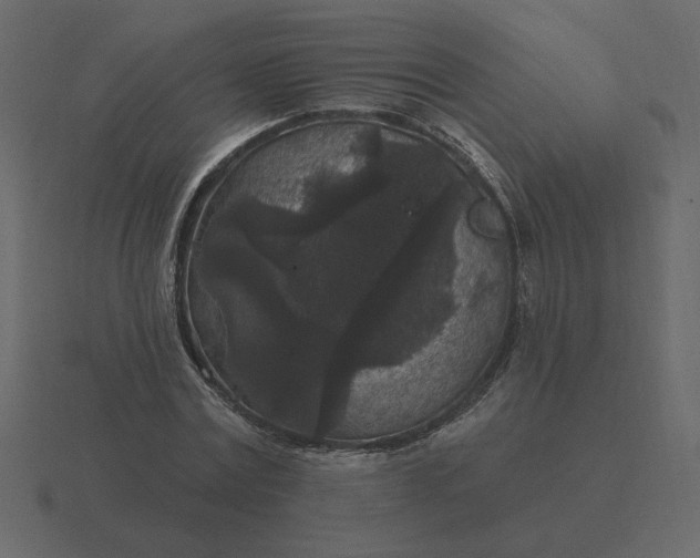 X0000116610779200912241732