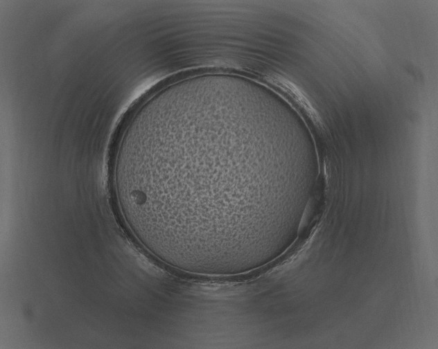 X0000116610780200912241732