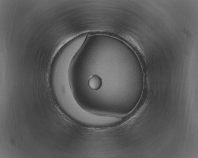 X0000116610781200912241732