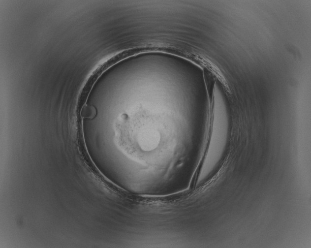 X0000116610784200912241732