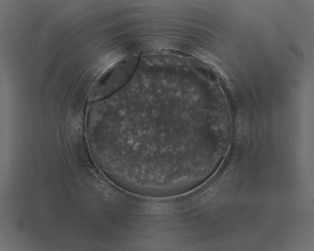 X0000116610785200912241732