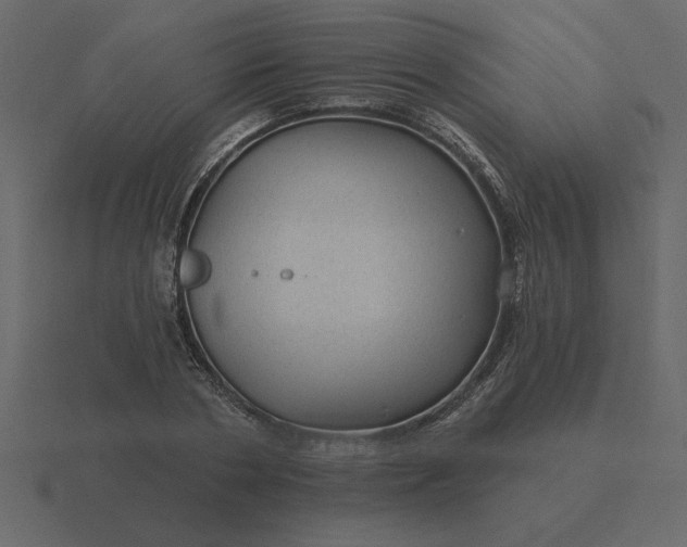 X0000116610786200912241732