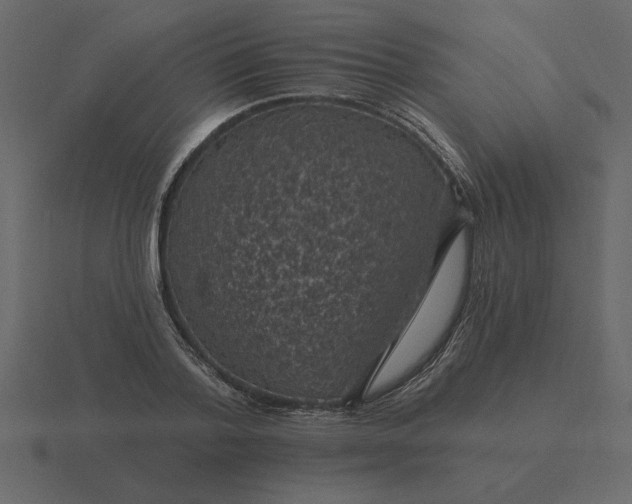 X0000116610788200912241732