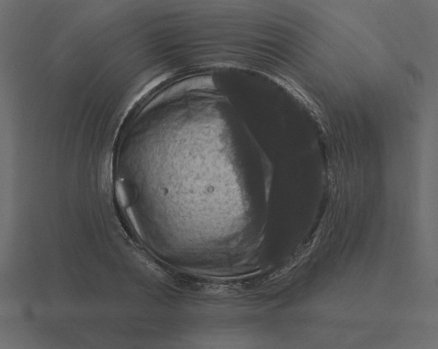 X0000116610790200912241732