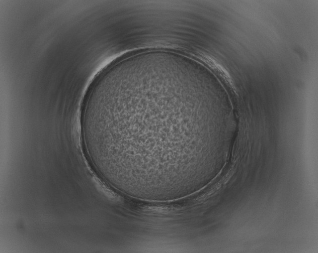 X0000116610792200912241732