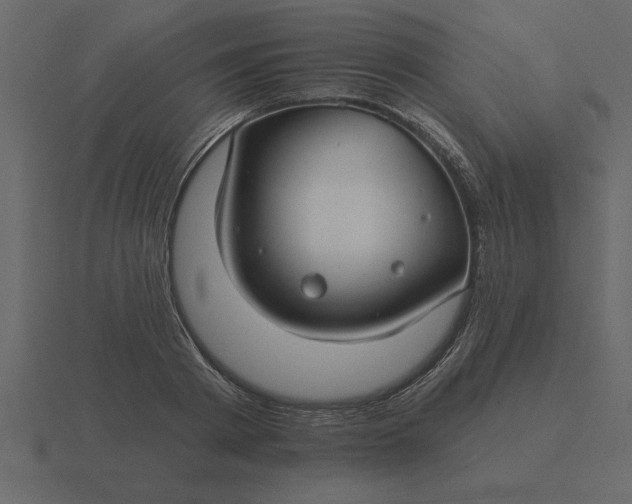 X0000116610793200912241732