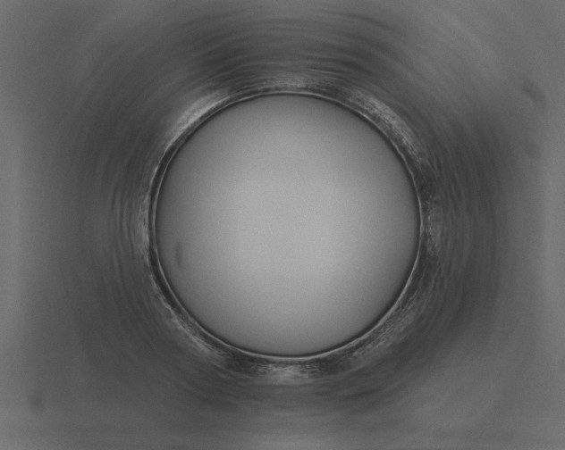 X0000116610794200912241732