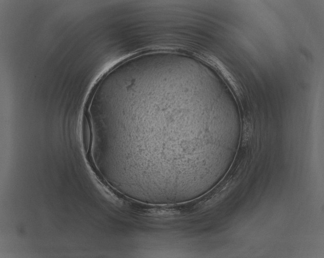 X0000116610795200912241732