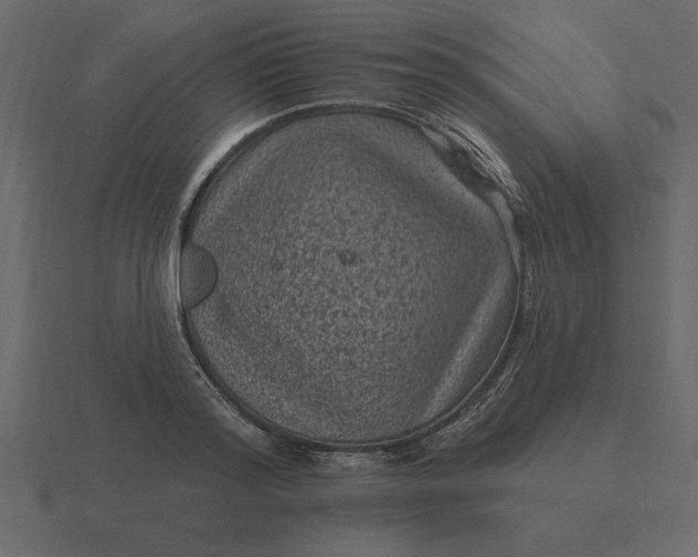 X0000116610796200912241732