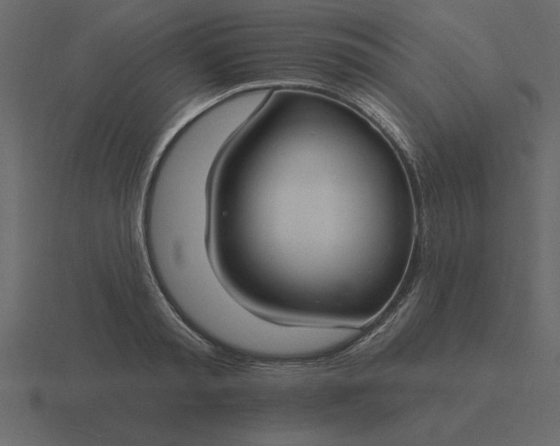 X0000116610797200912241732