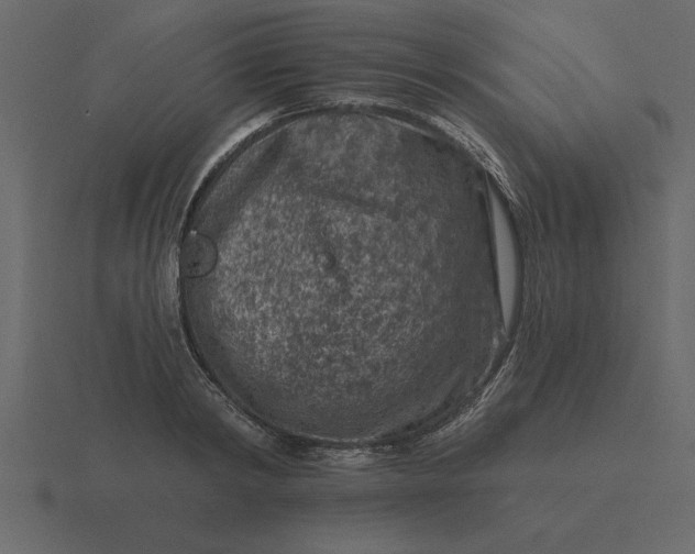 X0000116610798200912241732