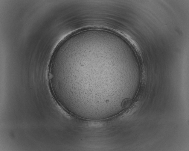 X0000116610799200912241732