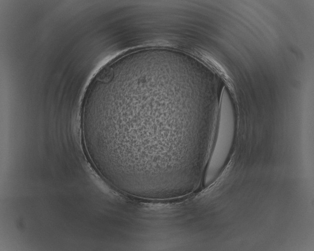 X0000116610800200912241732