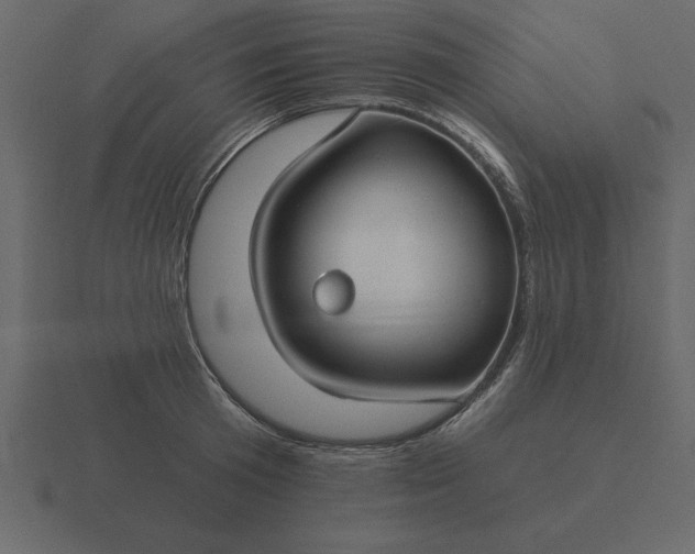 X0000116610801200912241732