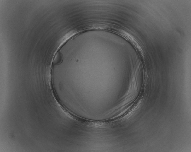 X0000116610802200912241732