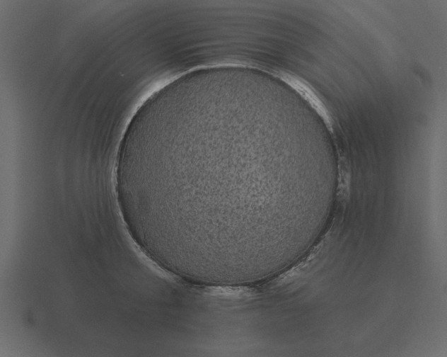 X0000116610805200912241732