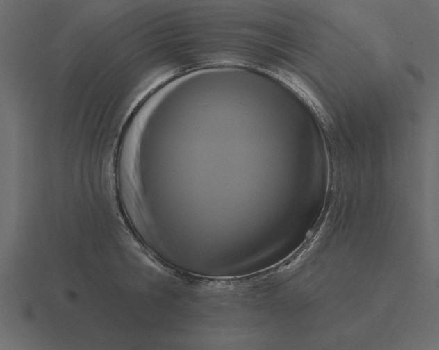 X0000116610806200912241732