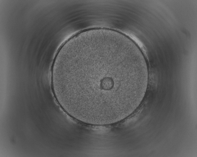 X0000116610807200912241732