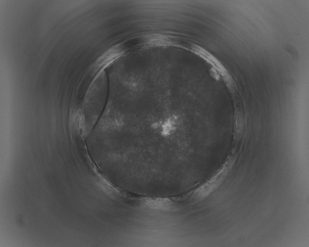 X0000116610809200912241732