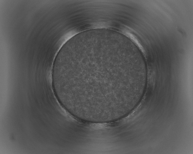 X0000116610810200912241732