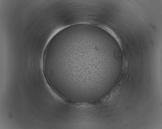 X0000116610811200912241732