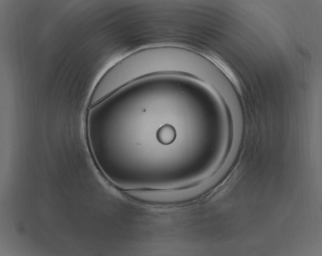 X0000116610813200912241732