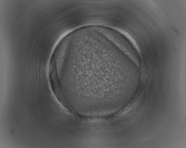 X0000116610815200912241732