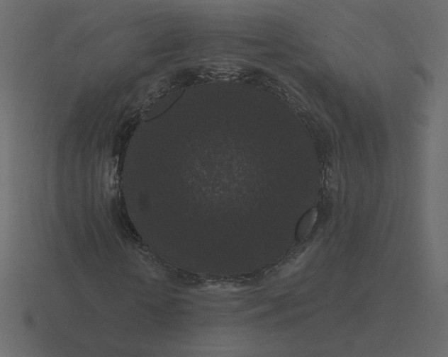 X0000116610818200912241731