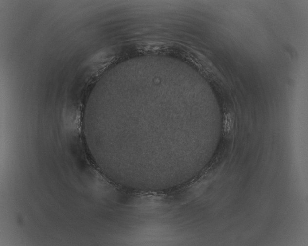 X0000116610820200912241731