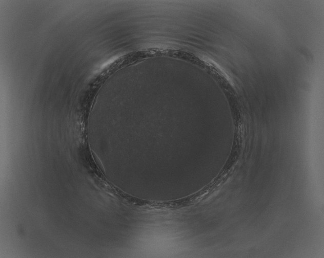 X0000116610822200912241731