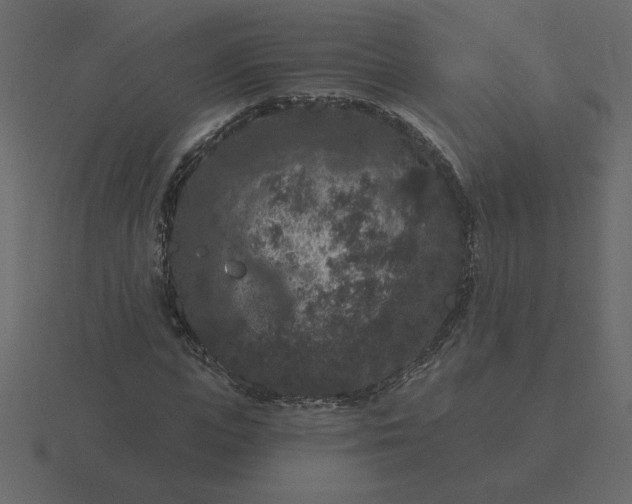 X0000116610823200912241731