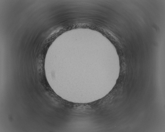 X0000116610824200912241731