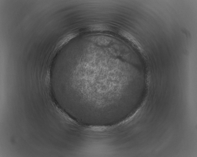 X0000116610825200912241731