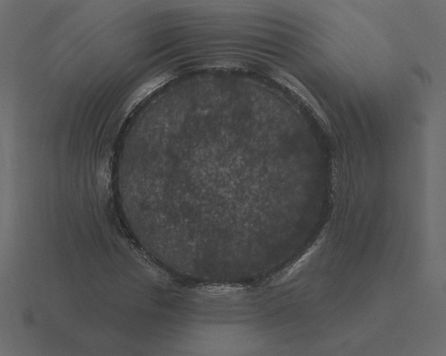 X0000116610826200912241731