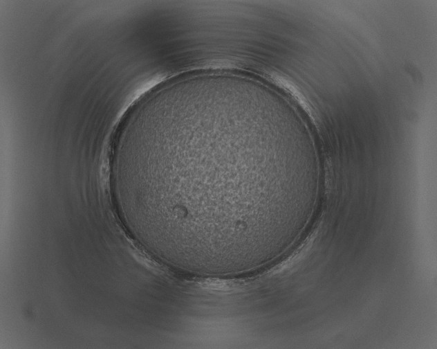 X0000116610827200912241731