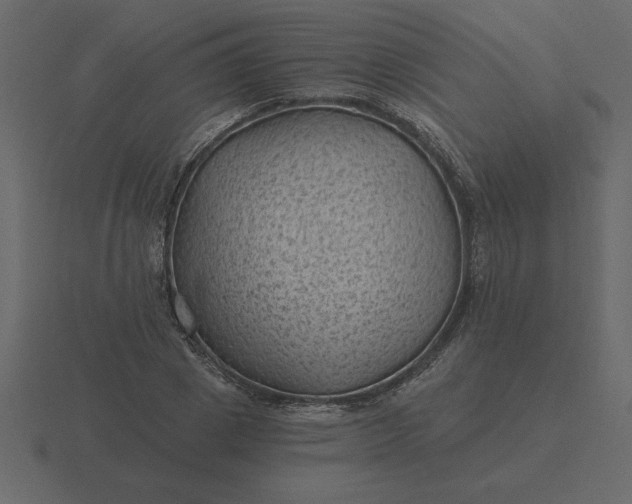 X0000116610833200912241731