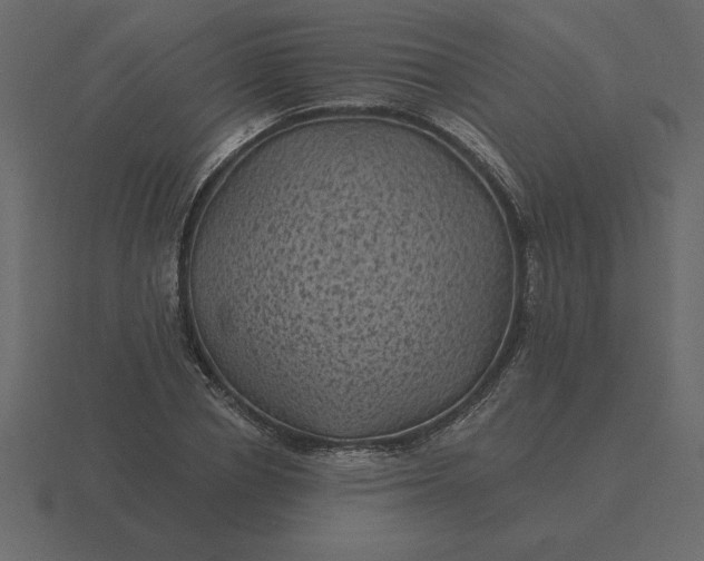 X0000116610834200912241731