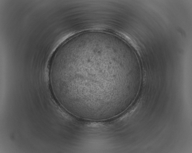 X0000116610835200912241732