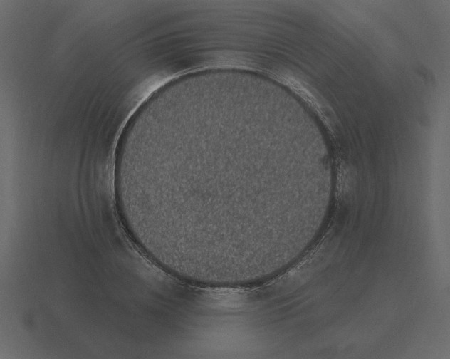 X0000116610836200912241732