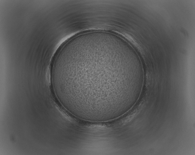 X0000116610838200912241732