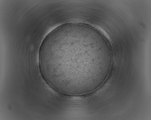 X0000116610839200912241732