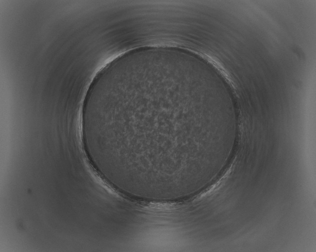 X0000116610840200912241732