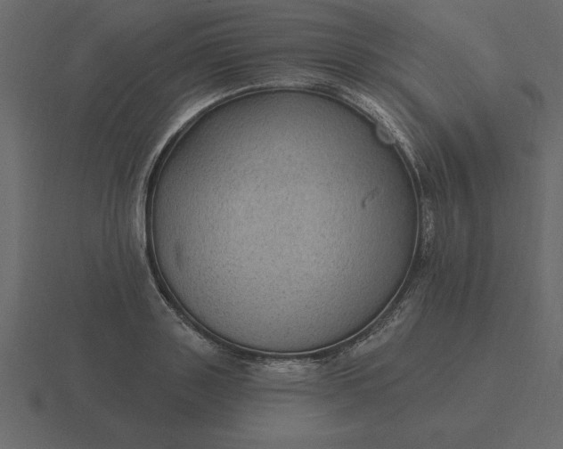 X0000116610843200912241732