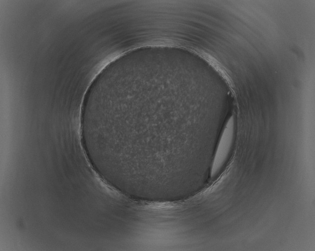 X0000116610845200912241732