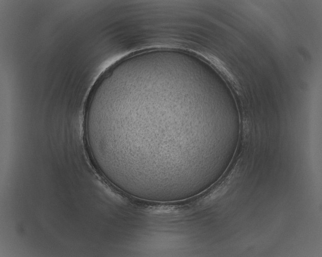 X0000116610846200912241732