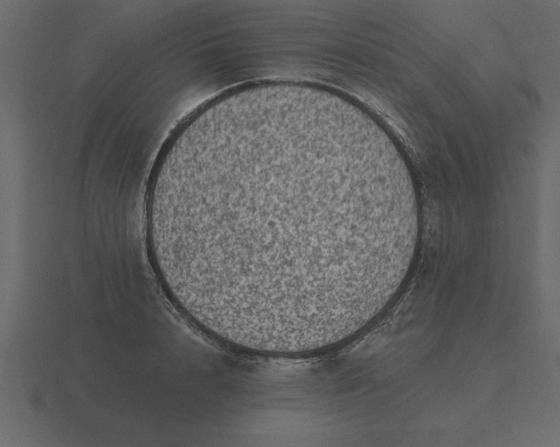 X0000116610848200912241732