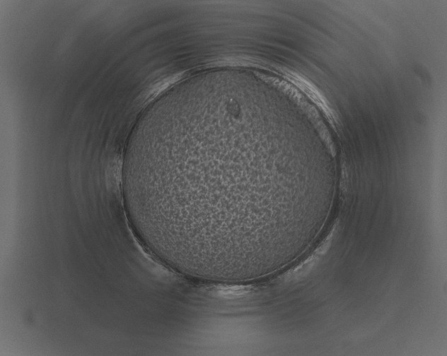 X0000116610849200912241732